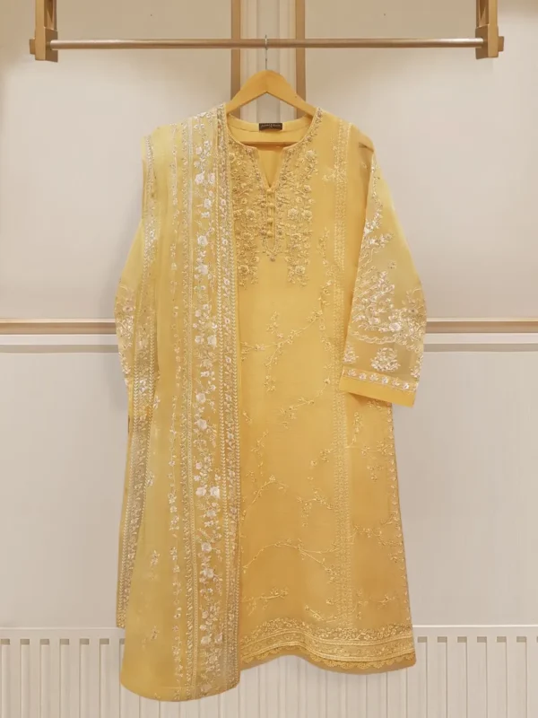 Aghanoor Official Two Piece Pure Cotton Net Shirt With Dupatta S107825 001.Webp
