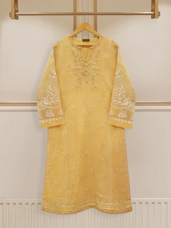 Aghanoor Official Two Piece Pure Cotton Net Shirt With Dupatta S107825 002.Webp