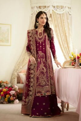 Qalamkar Dn-07 Aleena Dilnaaz Wedding Formal'23