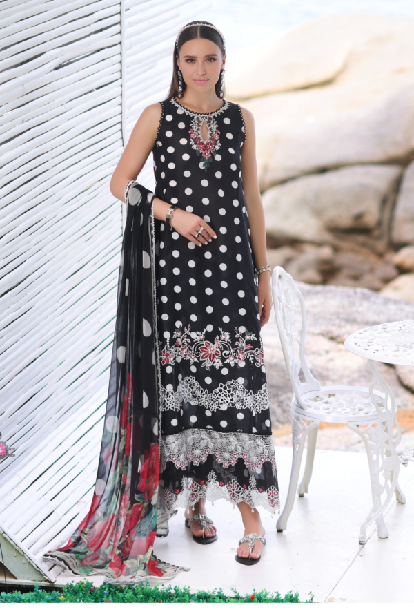 Noor By Saadia Asad D6A Luxe Printkari Collection 24