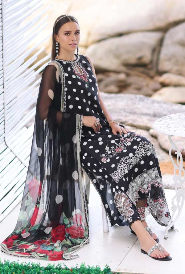 Noor By Saadia Asad D6A Luxe Printkari Collection 24