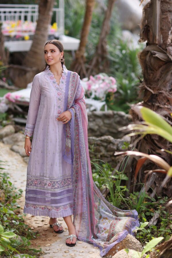 Noor By Saadia Asad D3A Luxe Printkari Collection 24