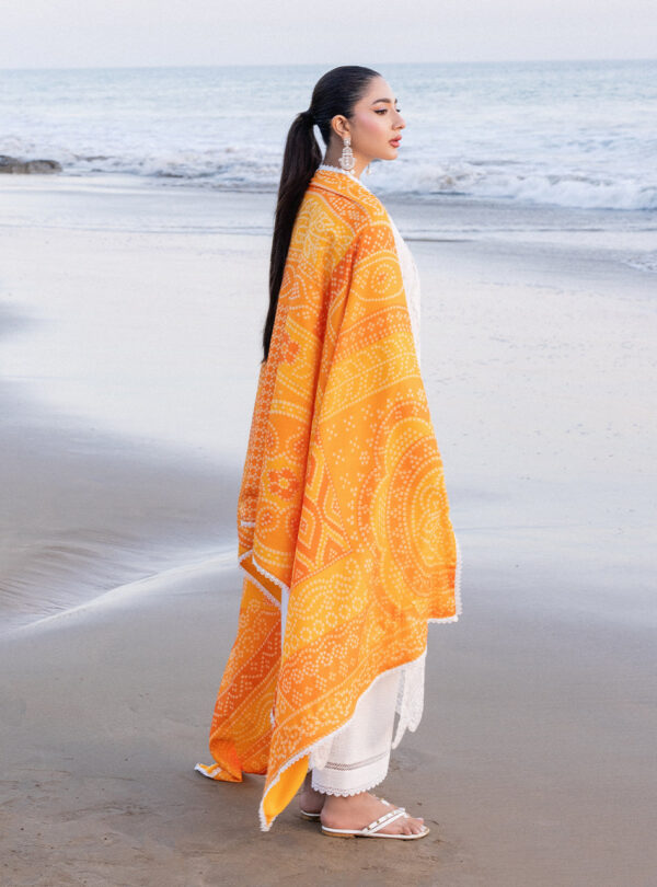 (product) Zainab Chotani Embroidered Chikankari Lawn Chunari - 3b 3 Piece Suit Cultural Outfit 2024