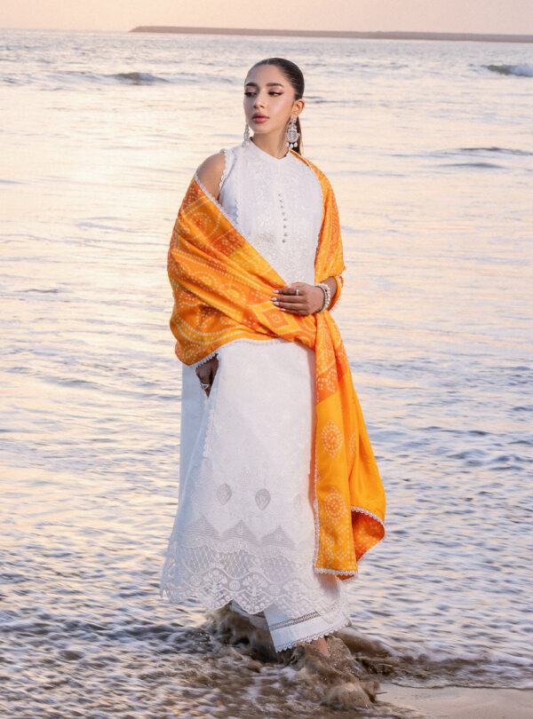 (product) Zainab Chotani Embroidered Chikankari Lawn Chunari - 3b 3 Piece Suit Cultural Outfit 2024