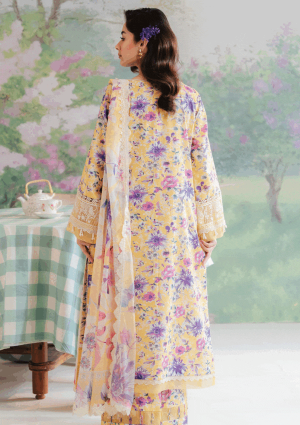  Afrozeh The Floral Charm AL-01 Tuscany Lawn
Collection 24