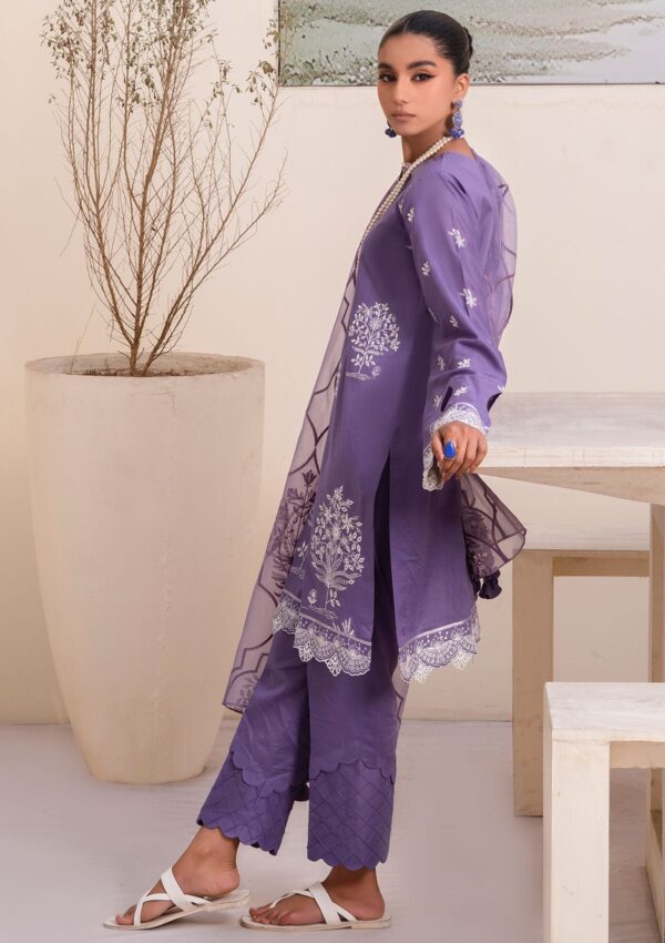  Humdum ARZU ALL24-05 Lawn Collection 24