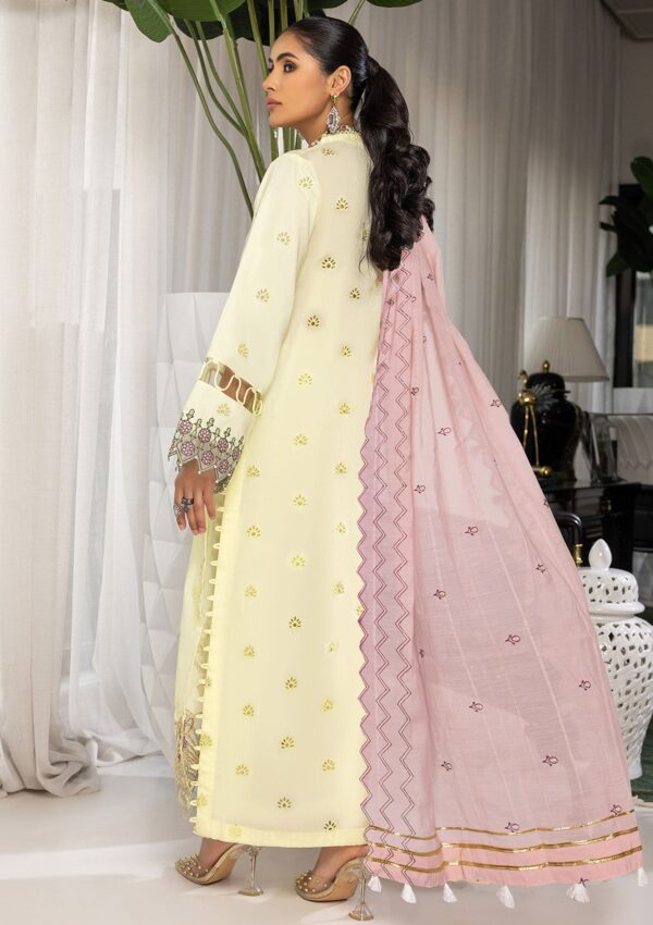 Humdum Charlotte CCL24-06 Lawn Collection 24