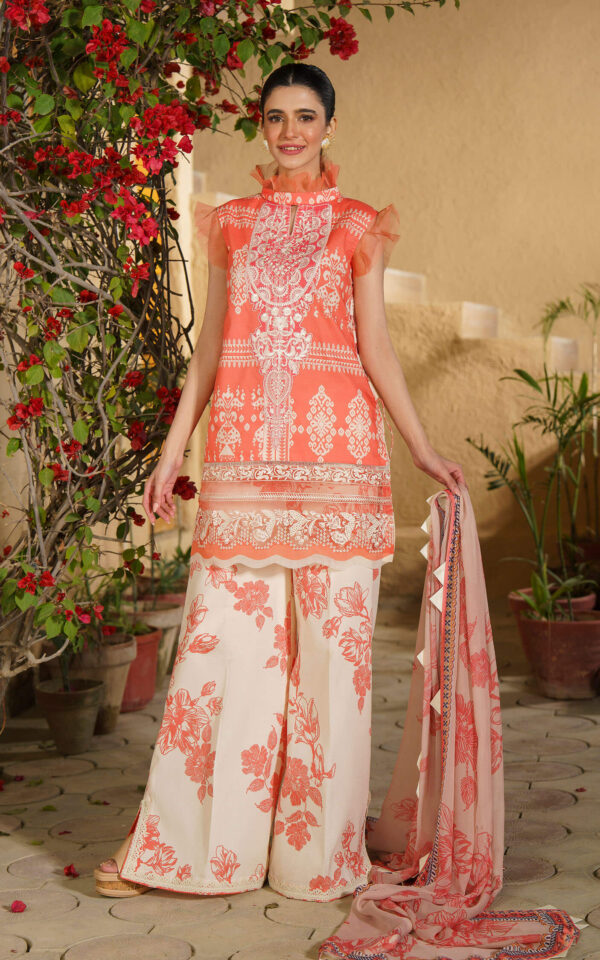 (product) Asifa Nabeel Digital Printed Lawn Dahlia-U141m001 3 Piece Suit Cultural Outfit 2024