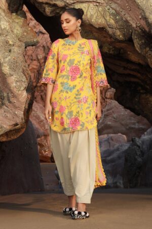 (product) Sana Safinaz Digital Printed Lawn H241-007b-2s 3 Piece Suit Cultural Outfit 2024