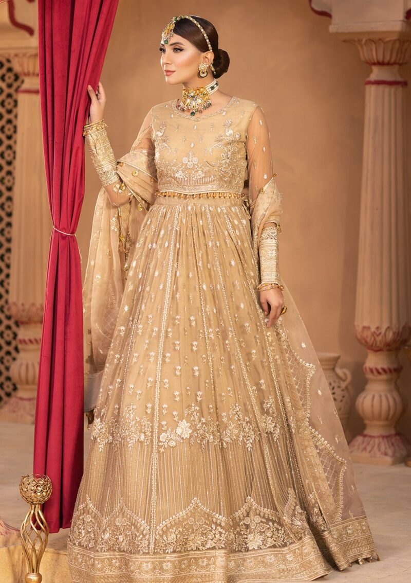 Alizeh Reena Handcrafted Ah 07 Cyra Formal Collection