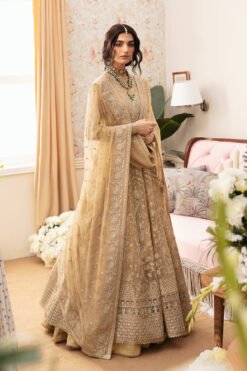 Ayzel ADK-V1-01 Whispers of Grandeur Chiffon Collection 2024
