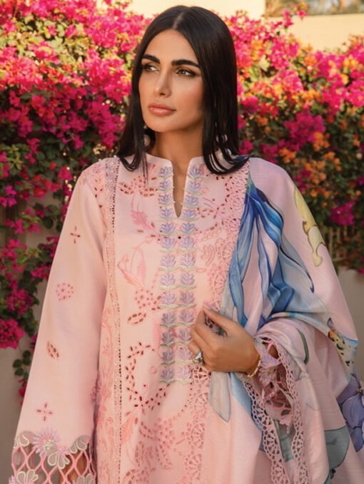 rang rasiya D-03 Camilia Carnation Embroidered Lawn 3Pc Suit Collection 2024