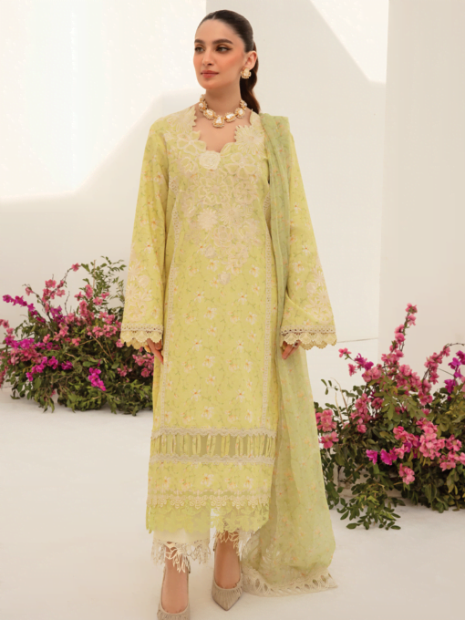 rang rasiya D-03 Olivia Florence Embroidered Lawn 3Pc Suit Collection 2024