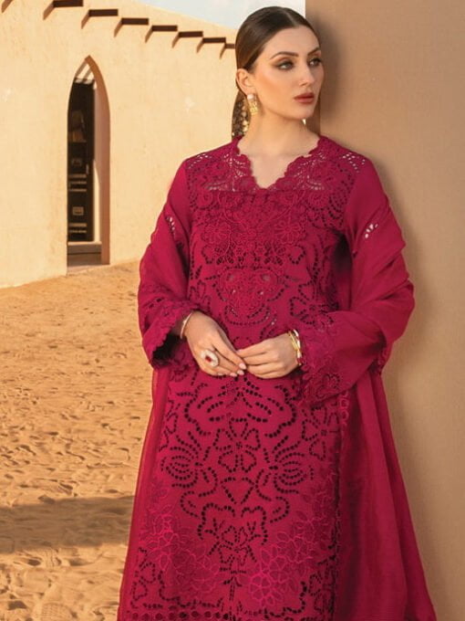rang rasiya D-10 RAMEEN Premium Embroidered Lawn 3Pc Suit Collection 2024