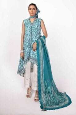 Gul Ahmed Dn-42036 Printed Lawn Collection 2024