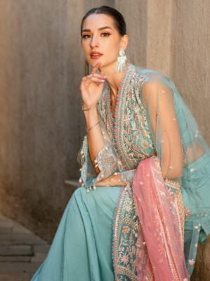 Gul Ahmed FE-42010 Festive Eid Embroidered Net Collection 2024