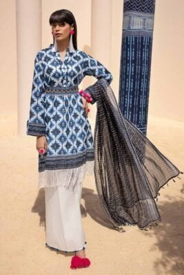 Gul Ahmed St-42004 Printed Lawn Collection 2024