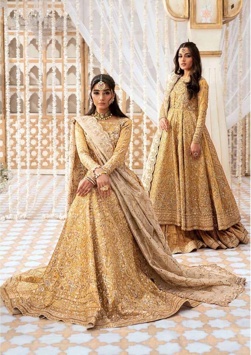 Alizeh Reena Handcrafted Ah 02 Aylin Formal Collection