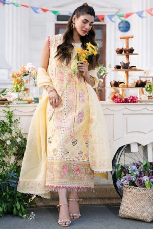 Bin Ilyas Clara Il24 213 A Lawn Collection