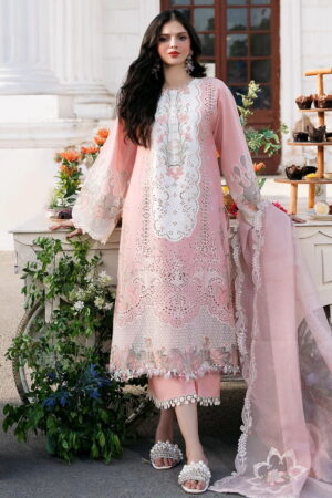 Bin Ilyas Clara Il24 216 B Lawn Collection