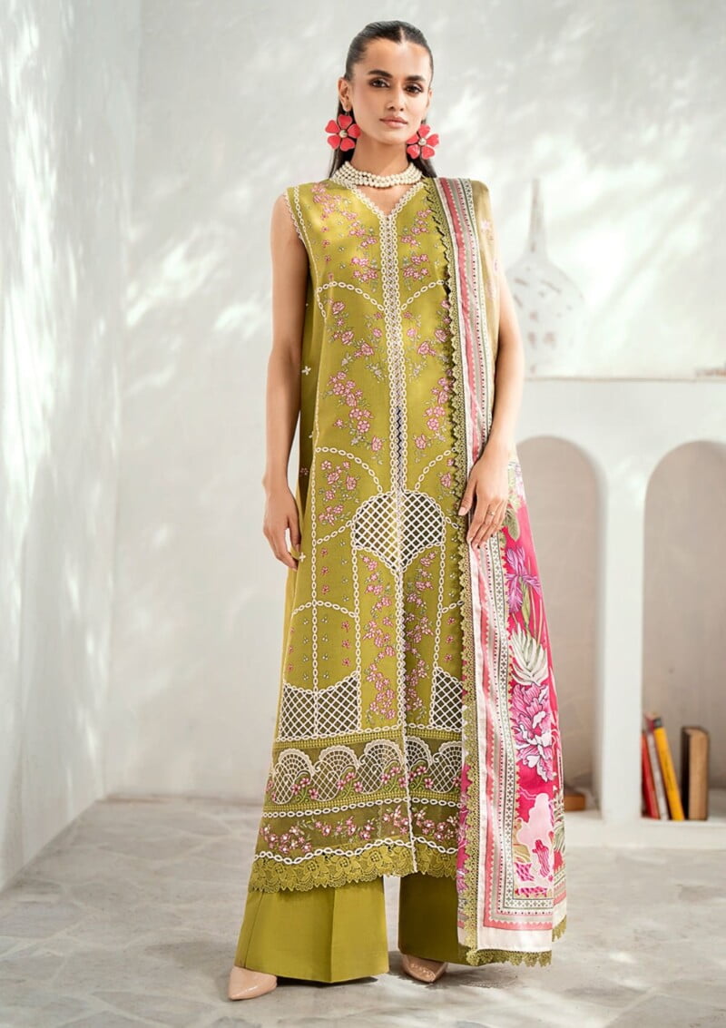 Bin Ilyas Riwaayat Spring Summer Rsp24 305 A Lawn Collection