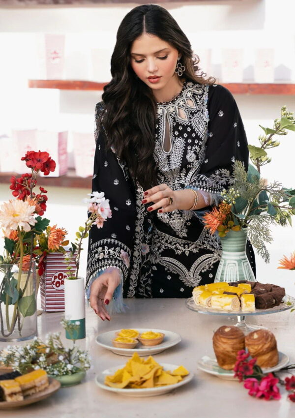 Bin Ilyas Clara Il24 214 B Lawn Collection