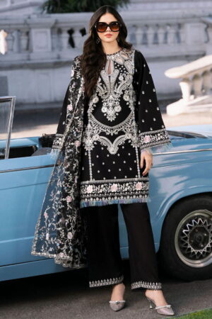 Bin Ilyas Clara Il24 214 B Lawn Collection