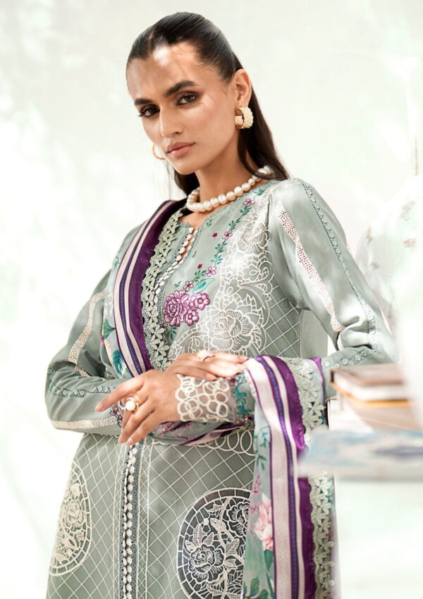 Bin Ilyas Riwaayat Spring Summer Rsp24 307 B Lawn Collection