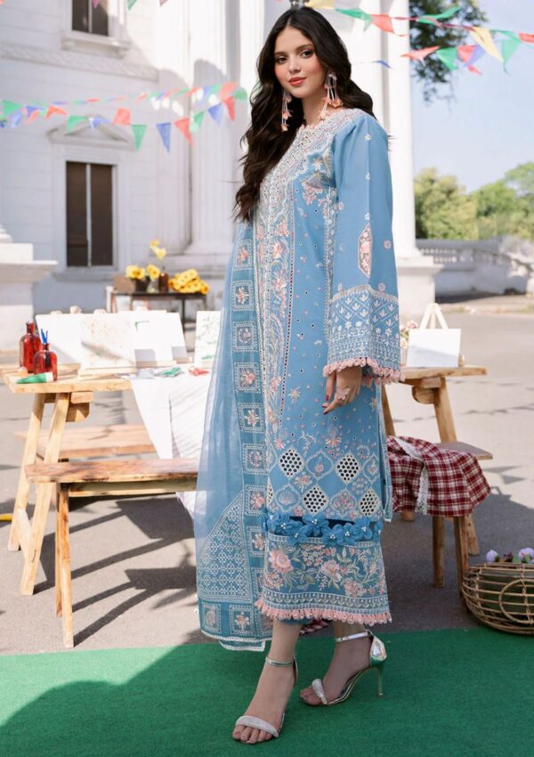 Bin Ilyas Clara Il24 212 B Lawn Collection