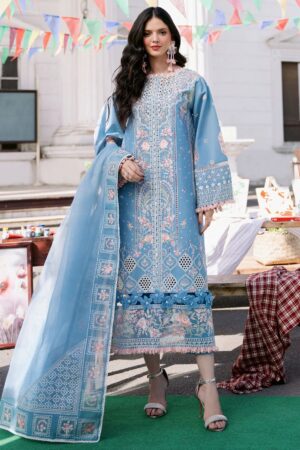 Bin Ilyas Clara Il24 212 B Lawn Collection