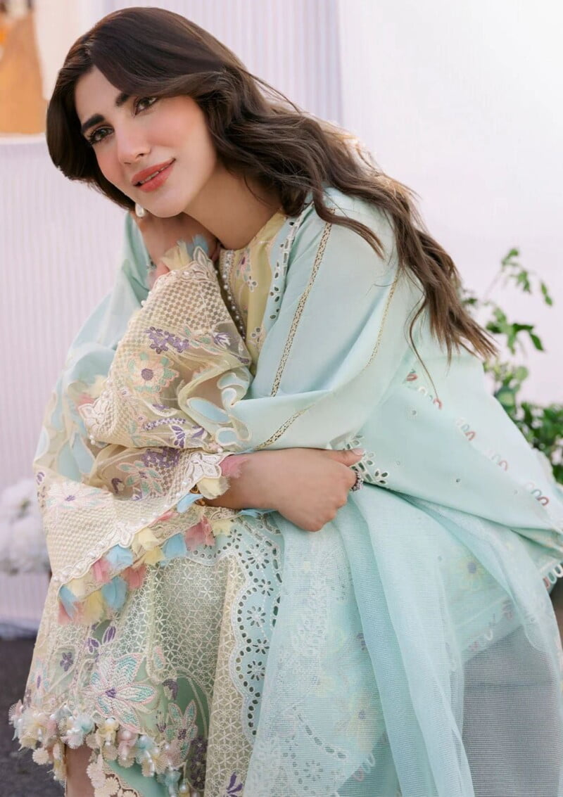 Bin Ilyas Clara Il24 217 A Lawn Collection