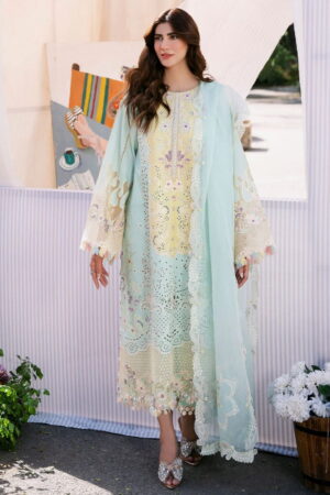 Bin Ilyas Clara Il24 217 A Lawn Collection