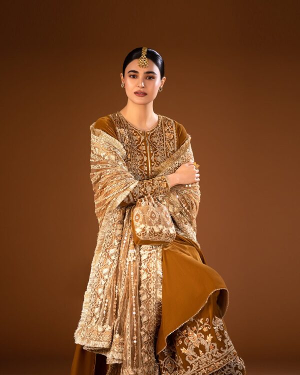 Faiza Saqlain Haanie Luxe Collection 24