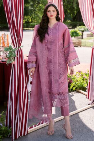 Bin Ilyas Clara Il24 215 B Lawn Collection