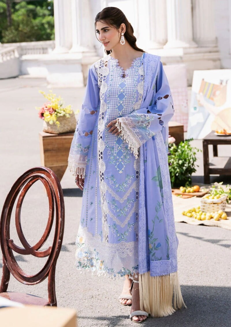 Bin Ilyas Clara Il24 213 B Lawn Collection