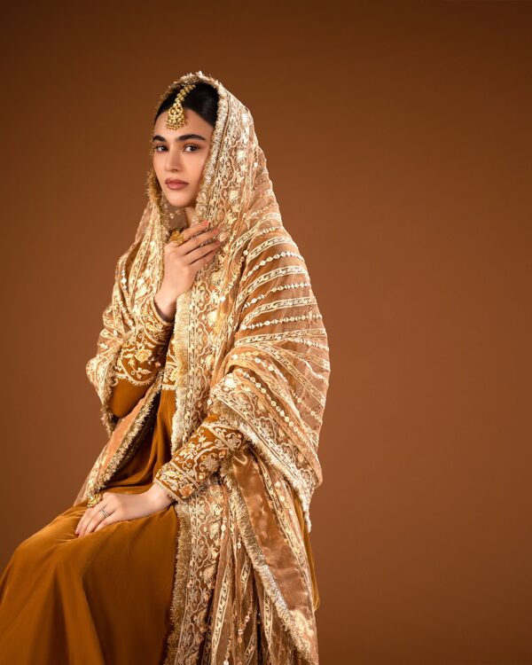 Faiza Saqlain Haanie Luxe Collection 24