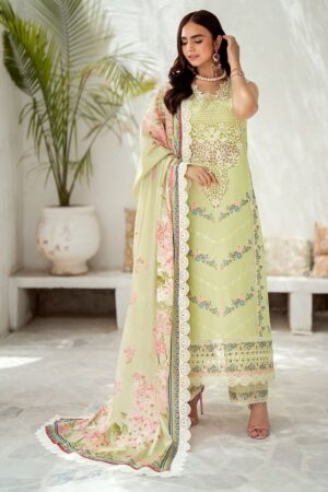 Bin Ilyas Riwaayat Spring Summer Rsp24 306 B Lawn Collection