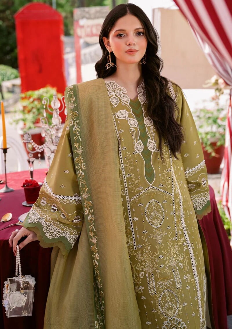 Bin Ilyas Clara Il24 211 B Lawn Collection