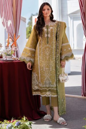 Bin Ilyas Clara Il24 211 B Lawn Collection