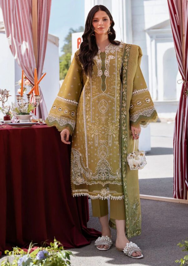 Bin Ilyas Clara Il24 211 B Lawn Collection