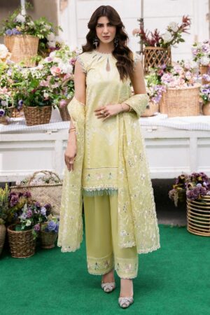 Bin Ilyas Clara Il24 215 A Lawn Collection