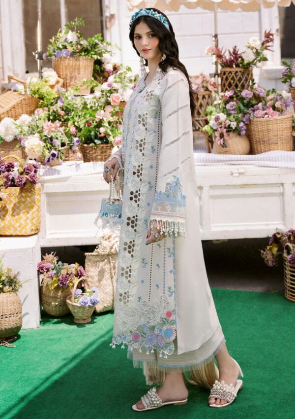 Bin Ilyas Clara Il24 214 A Lawn Collection