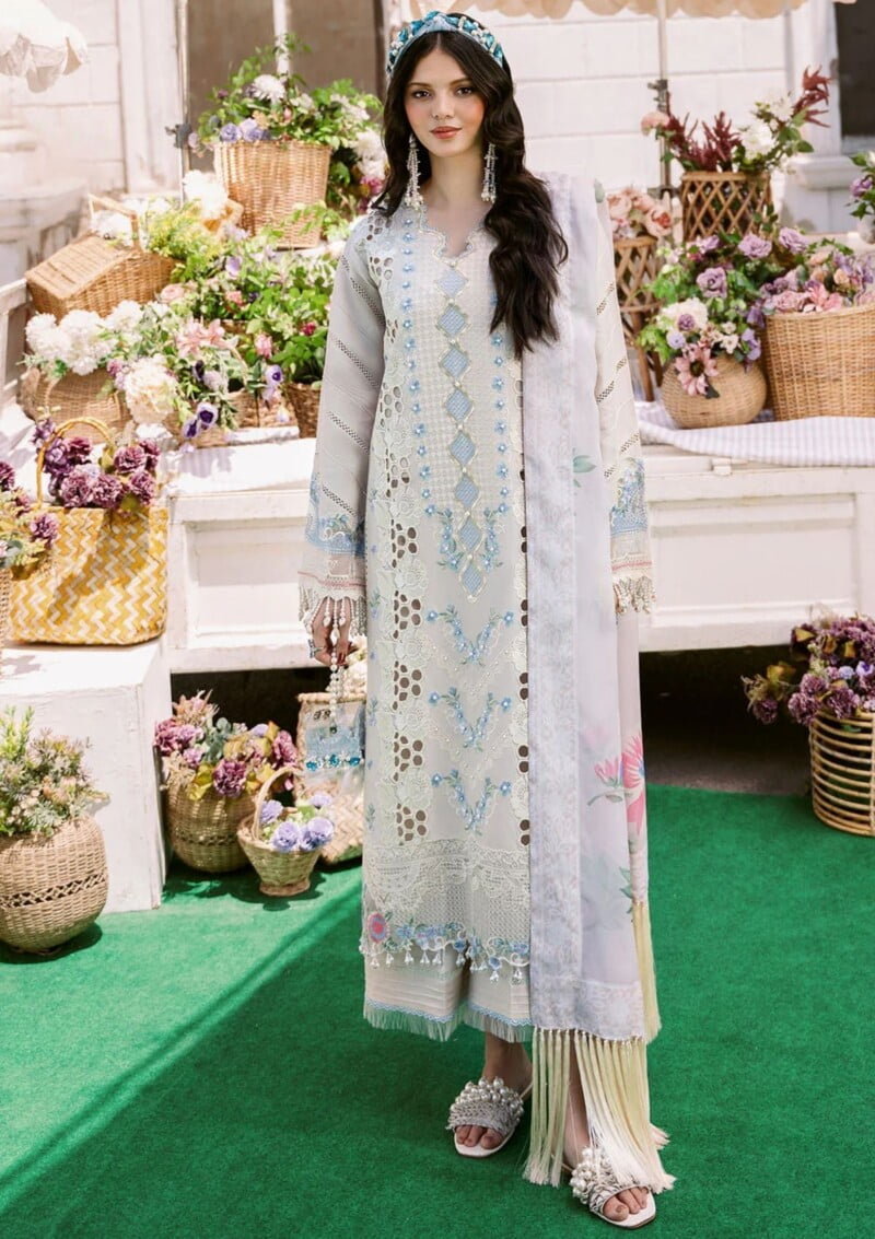 Bin Ilyas Clara Il24 214 A Lawn Collection