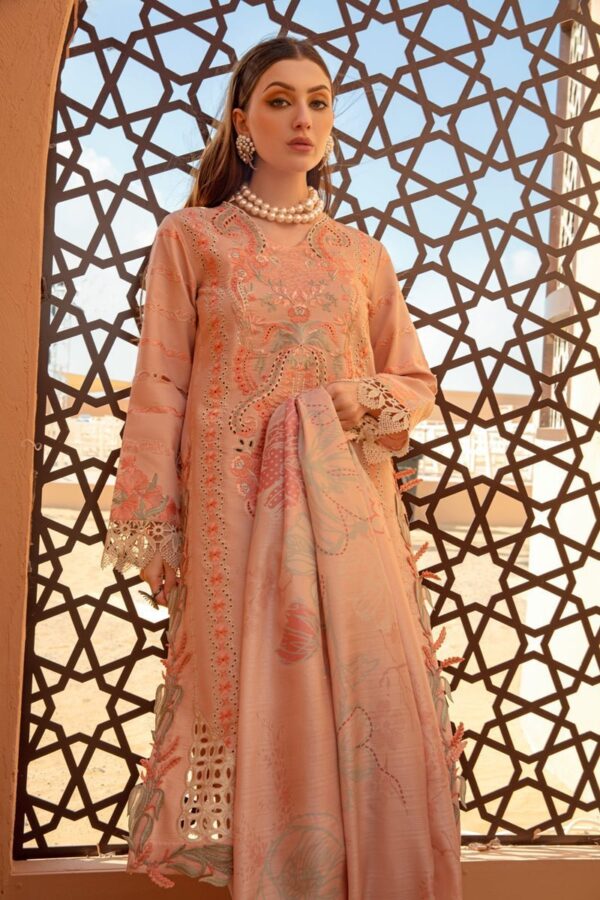 Rang Rasiya Minaal Premium Lawn Suit Collection 24