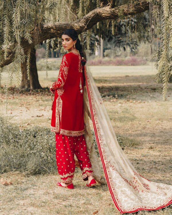 Faiza Saqlain Darakhshan Luxe Collection 24