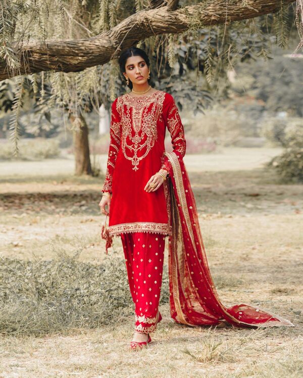 Faiza Saqlain Darakhshan Luxe Collection 24