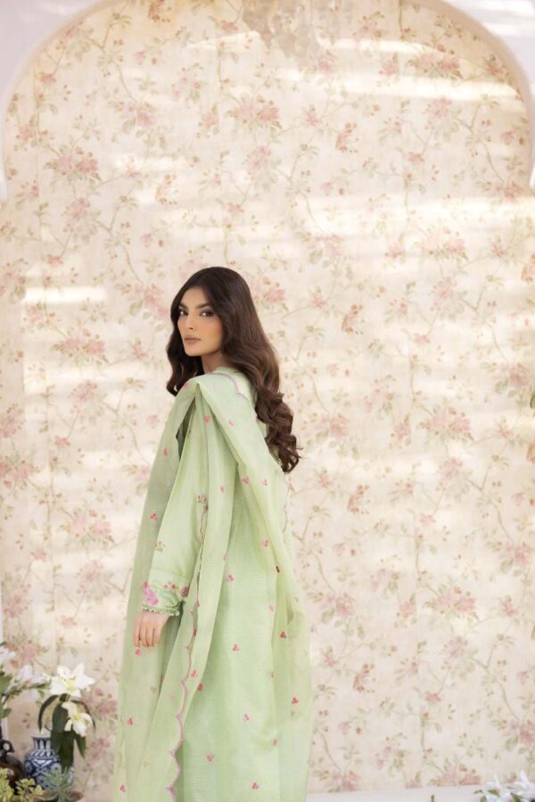 La Rosaa Spring Lss-24-02 Green Spring Summer Embroidered Lawn Stitched Collection 2024