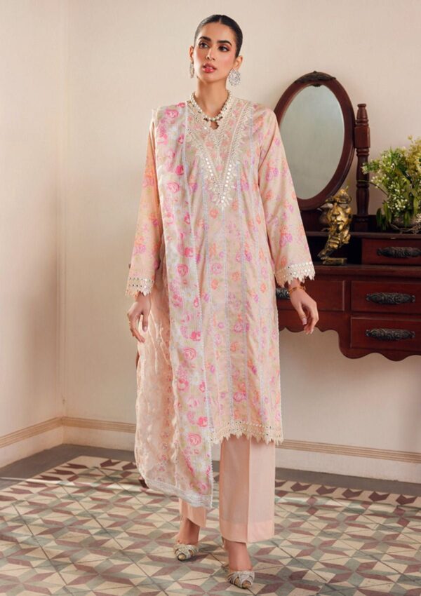 Raj Bari Essentials Rbe24 09 Lawn Collection 24