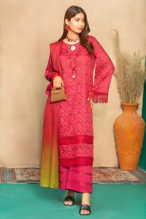 Humdum Ha24 03 Aangan Lawn Collection