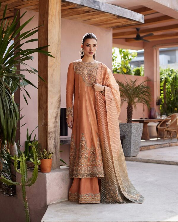 Faiza Saqlain Astur Collection 24